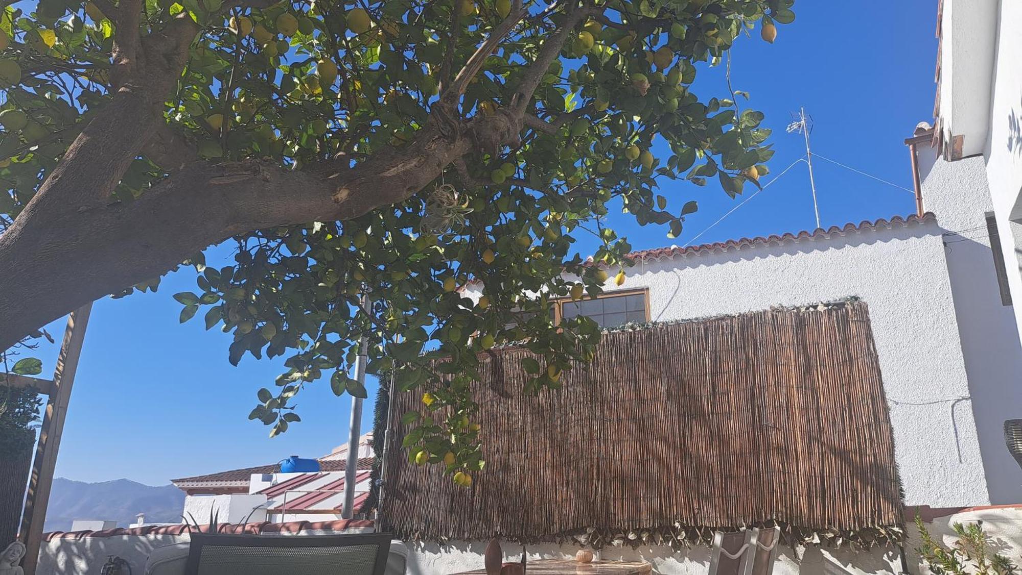 Гостьовий будинок Casa Santana Segura Техеда Номер фото